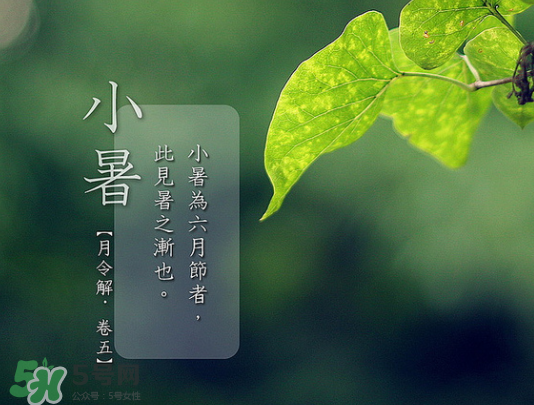 2017年小暑會(huì)下雨嗎？小暑這一天下雨好嗎？