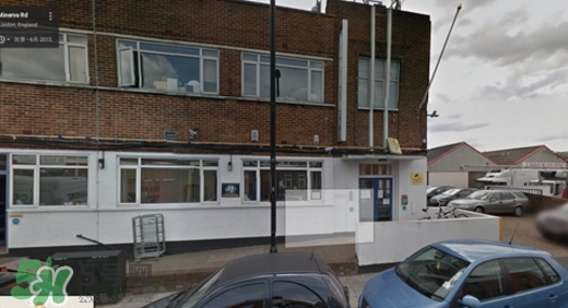 dayshow是什么牌子？dayshow是哪國國家的？