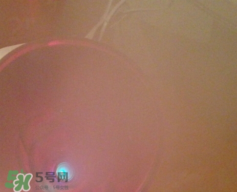 松下蒸臉器和金稻哪個(gè)好？松下蒸臉器和金稻蒸臉器對(duì)比