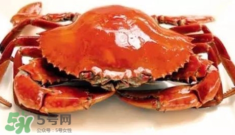 石夾紅螃蟹什么時候有？石夾紅螃蟹什么時候最肥