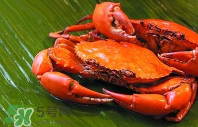 花蓋蟹怎么處理干凈？花蓋蟹如何清洗