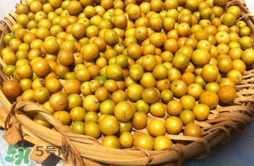 黃皮果是小金橘嗎？黃皮果和小金橘的區(qū)別