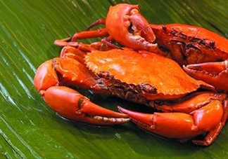 花蓋蟹怎么處理干凈？花蓋蟹如何清洗