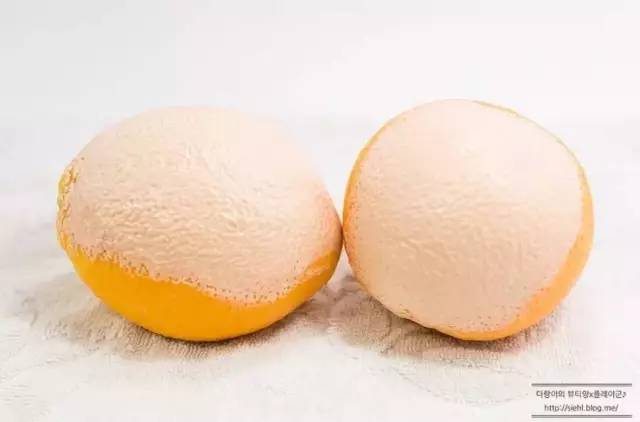 悅詩風(fēng)吟洗臉儀好用嗎？悅詩風(fēng)吟洗臉儀和luna潔面儀對比