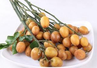 黃皮果是小金橘嗎？黃皮果和小金橘的區(qū)別