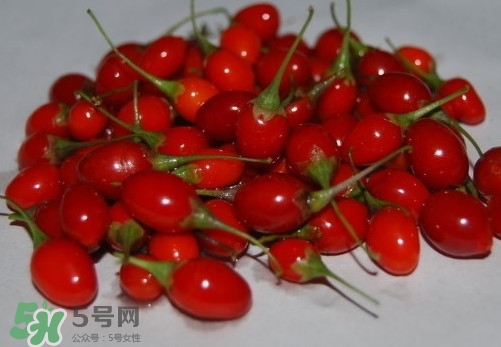 枸杞鮮果怎么吃？吃枸杞鮮果有什么好處