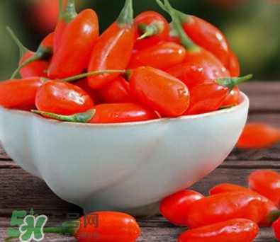 枸杞鮮果能吃嗎？鮮枸杞好還是干枸杞好