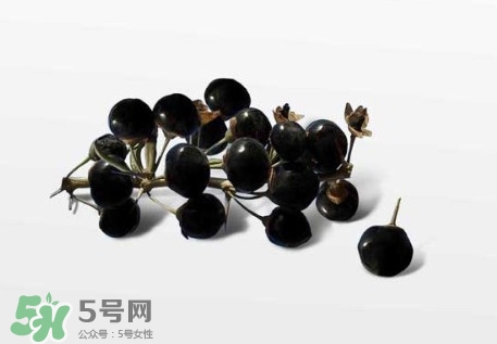 新鮮枸杞多少錢(qián)一斤？2017枸杞鮮果價(jià)格