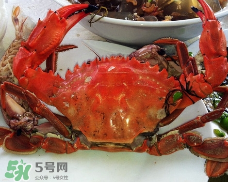 石夾紅螃蟹什么時候有？石夾紅螃蟹什么時候最肥
