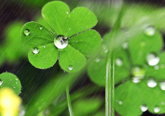 2017年小暑會下雨嗎？小暑這一天下雨好嗎？