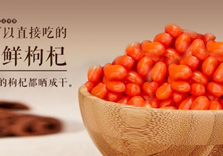 枸杞鮮果能吃嗎？鮮枸杞好還是干枸杞好