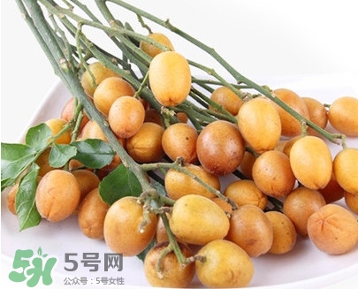 黃皮果是小金橘嗎？黃皮果和小金橘的區(qū)別