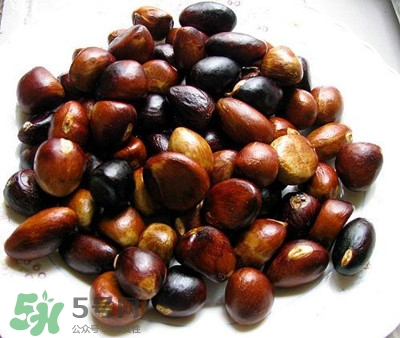 蘋婆怎么吃？蘋婆的功效與作用