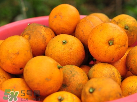 桔子什么時候成熟？桔子什么時候上市？