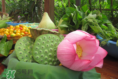 蓮蓬什么味道？蓮蓬好吃嗎？