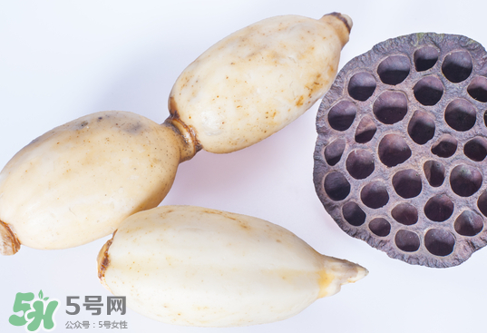 蓮蓬和蓮藕一樣嗎？蓮蓬和蓮藕的區(qū)別