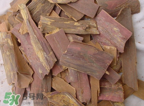 紅豆杉樹皮多少錢一斤？2017紅豆杉市場價