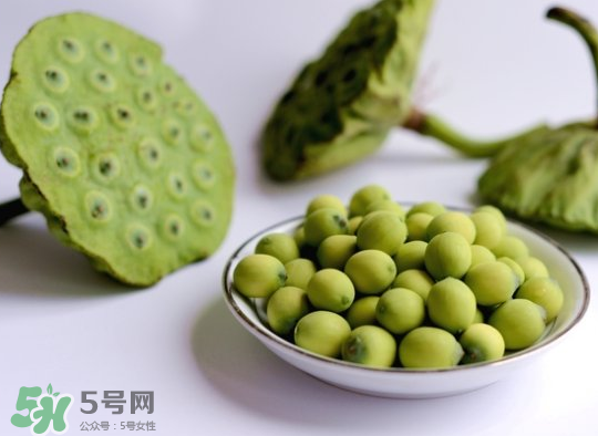 新鮮蓮蓬怎么保存？新鮮蓮蓬怎么保鮮？