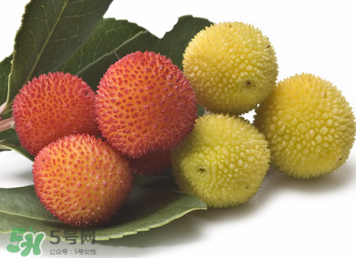 新鮮楊梅怎么保存得更長時間？新鮮楊梅能保存幾天？