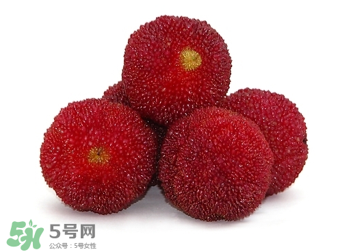 新鮮楊梅怎么保存得更長時間？新鮮楊梅能保存幾天？