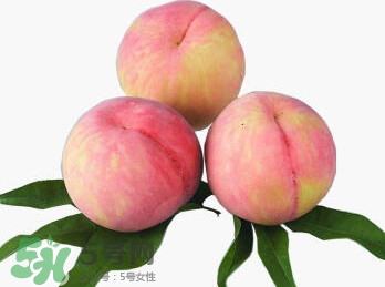 脆桃有什么營養(yǎng)？脆桃的營養(yǎng)價(jià)值