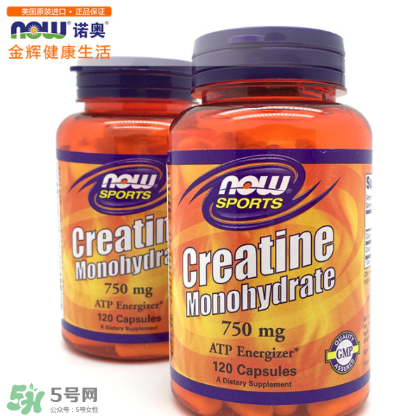 now foods肌酸說明書 now foods肌酸怎么吃 now foods肌酸說明書 now foods肌酸怎么吃