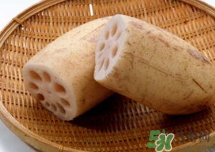 紅蓮藕和白蓮藕哪個好？紅蓮藕和白蓮藕區(qū)別