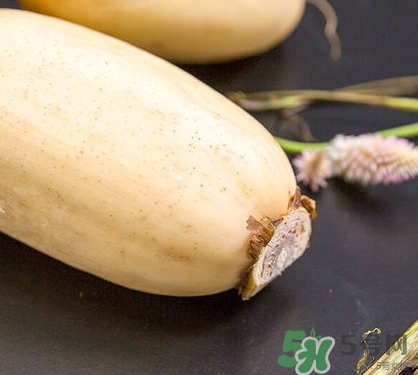 紅蓮藕和白蓮藕哪個好？紅蓮藕和白蓮藕區(qū)別