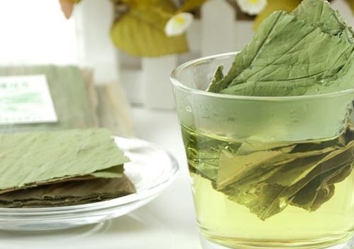 荷葉茶要不要清洗？荷葉茶喝了會(huì)上火嗎