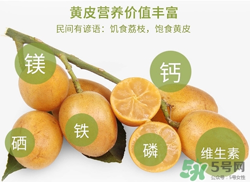 孕婦可以吃黃皮嗎？孕婦吃黃皮有什么好處
