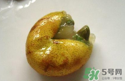 黃皮果核能治療什么??？黃皮核的功效與作用