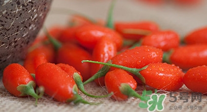 如何辨別枸杞是否新鮮？鮮枸杞可以直接食用嗎