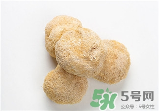 猴菇的作用 猴頭菇的功效 猴菇的作用 猴頭菇的功效