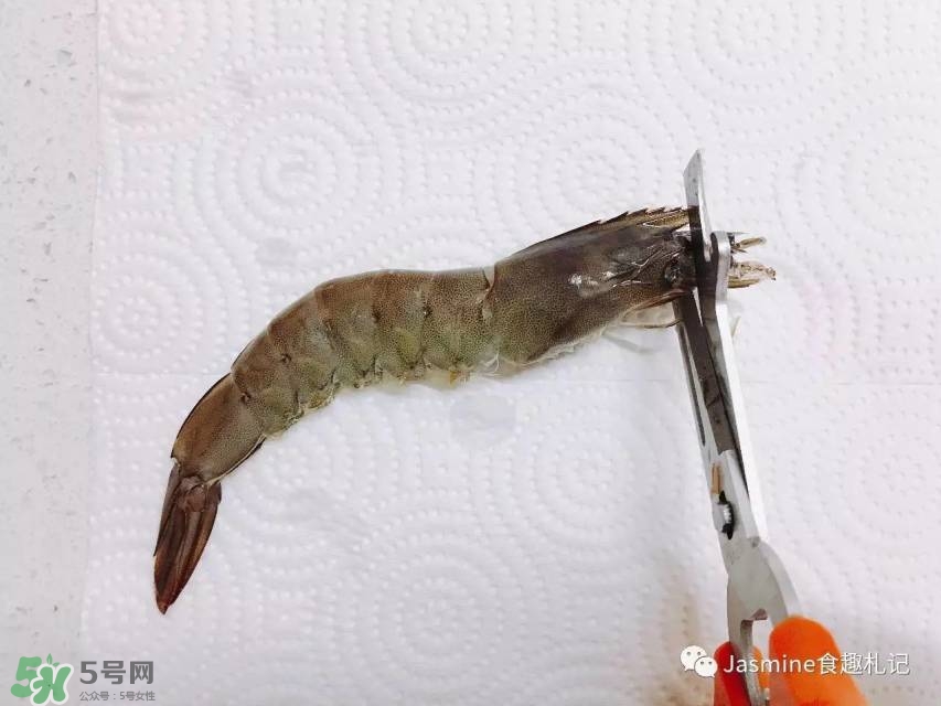 活基圍蝦怎么保存？活基圍蝦怎么處理干凈？