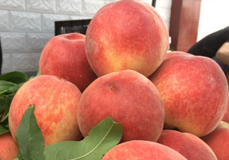 脆桃和軟桃哪個(gè)好吃？脆桃跟軟桃有什么區(qū)別？