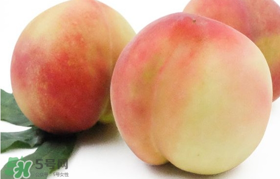 脆桃有什么營養(yǎng)？脆桃的營養(yǎng)價(jià)值