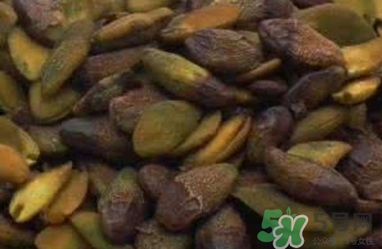 黃皮果核能治療什么??？黃皮核的功效與作用