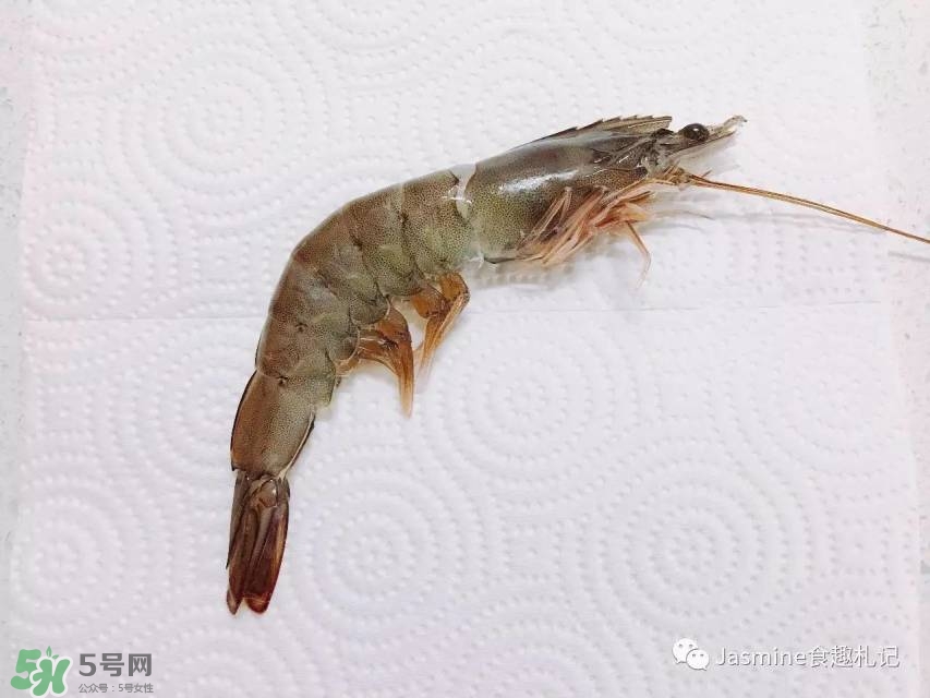 活基圍蝦怎么保存？活基圍蝦怎么處理干凈？