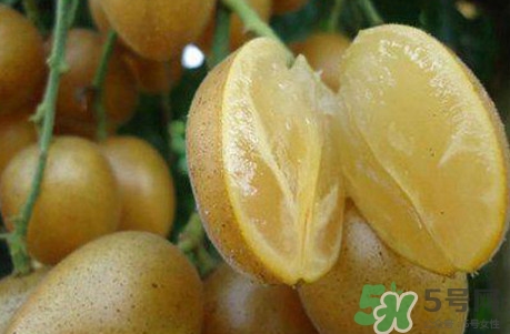 黃皮果可以和香蕉一起吃嗎？黃皮果的食用禁忌有哪些