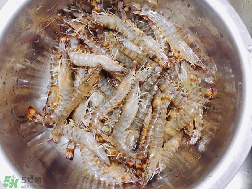 活基圍蝦怎么保存？活基圍蝦怎么處理干凈？