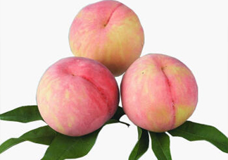 脆桃有什么營養(yǎng)？脆桃的營養(yǎng)價值