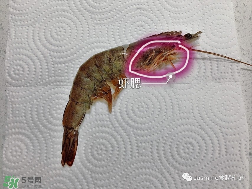 活基圍蝦怎么保存？活基圍蝦怎么處理干凈？