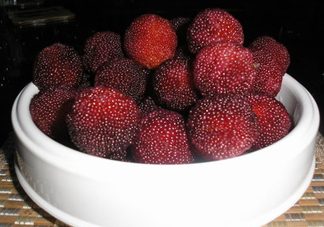 新鮮楊梅怎么保存得更長時間？新鮮楊梅能保存幾天？