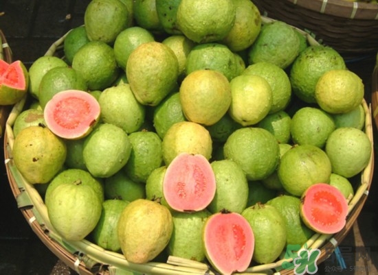 產婦可以吃番石榴嗎？坐月子可以吃番石榴嗎？