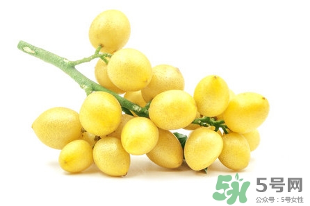 山黃皮燜鴨怎么做好吃？山黃皮燜鴨的做法