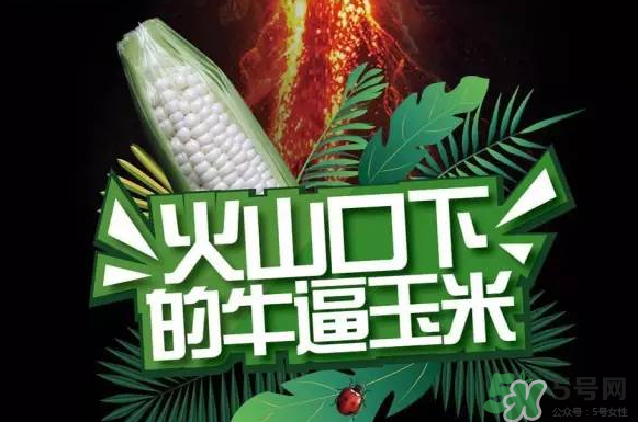 微玉冰糖玉米小孩可以吃嗎？微玉冰糖玉米營養(yǎng)豐富嗎？