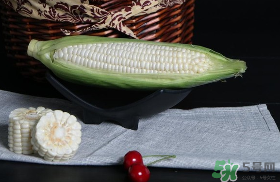 微玉冰糖玉米小孩可以吃嗎？微玉冰糖玉米營養(yǎng)豐富嗎？