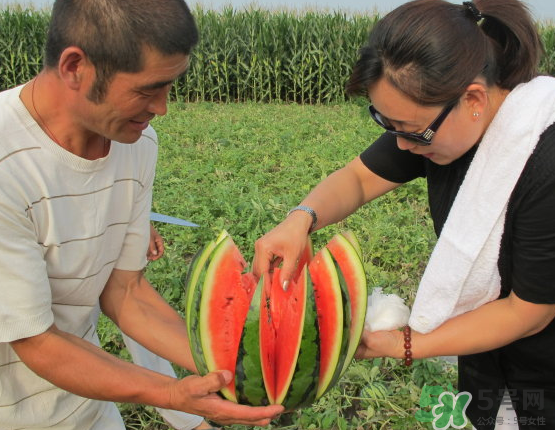 西瓜和玉米能一起吃嗎？西瓜和玉米能同時吃嗎？
