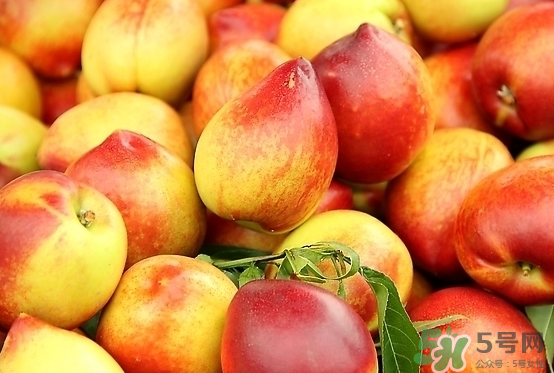 玉米和桃子能一起吃？桃子可以和玉米一起吃嗎？