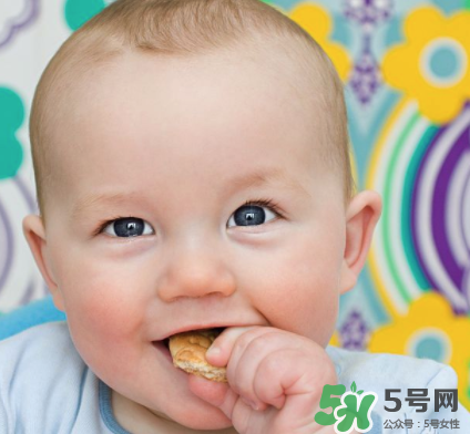 磨牙餅干吃不完怎么辦？磨牙餅干吃到多大？